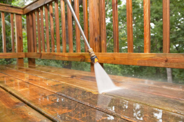 Animal Enclosure Cleaning in Cypress Quarters, FL